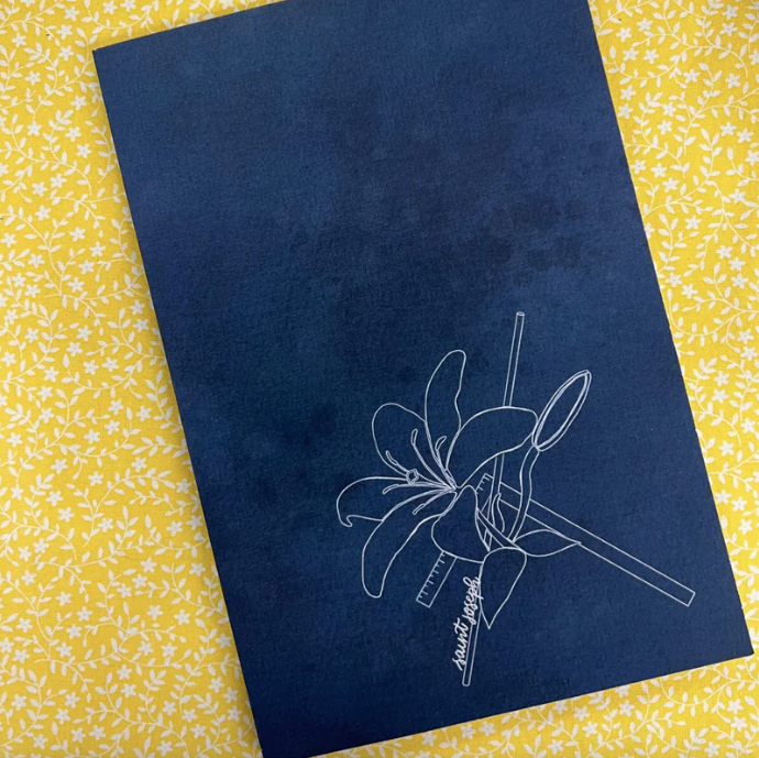 St. Joseph {Lily} Journal