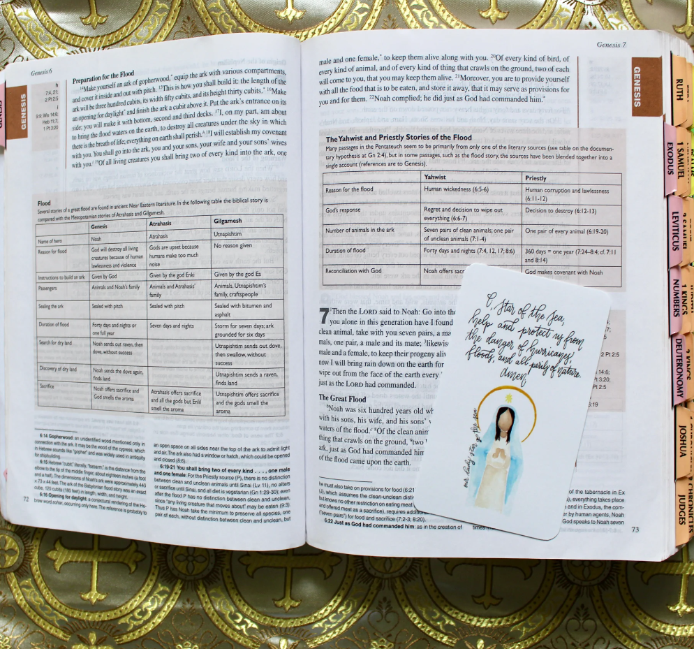 Our Lady Star of the Sea Prayer Card