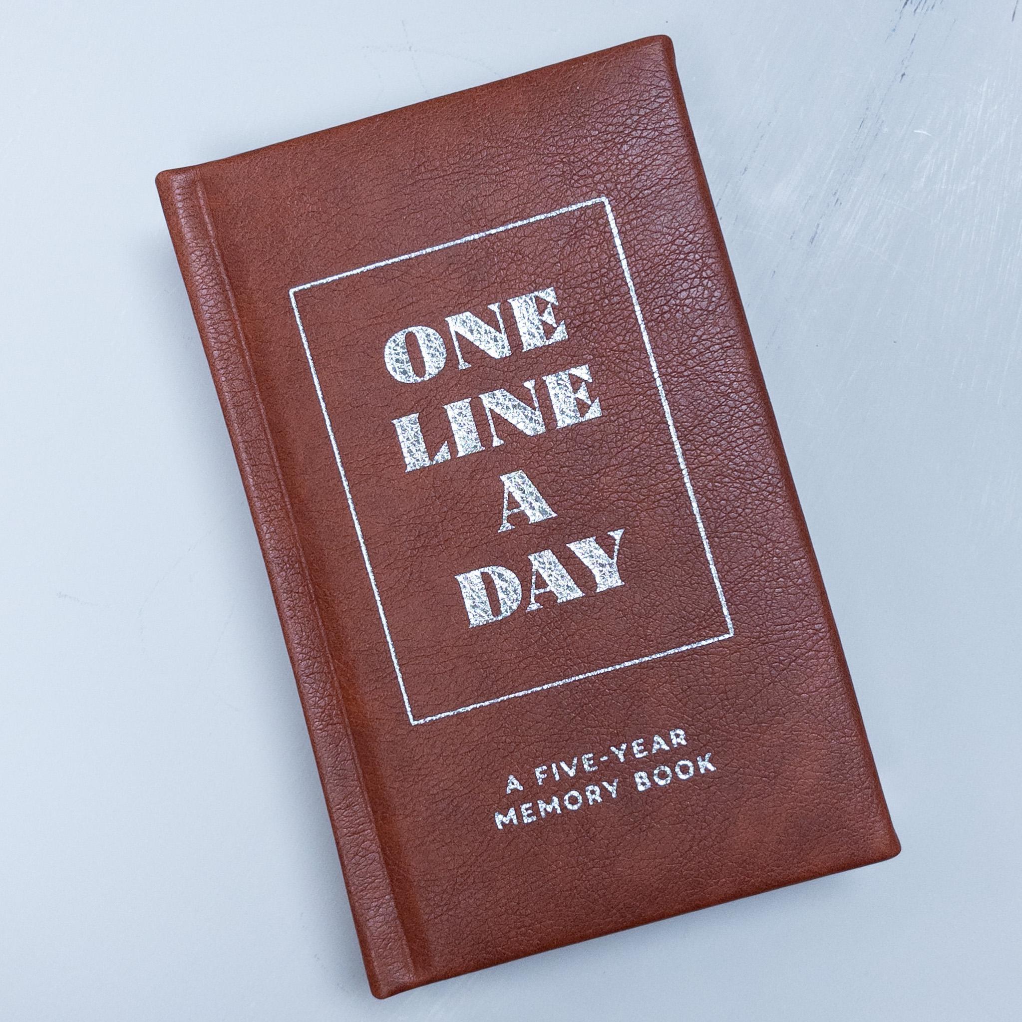One Line A Day Journal {Leather}