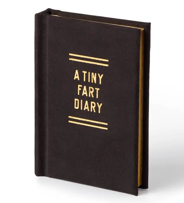 A Tiny Fart Diary