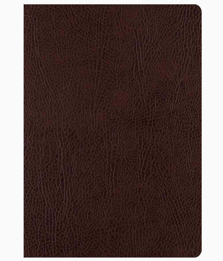 Esv Sc Journaling, Large Print (Bonded, Mocha)