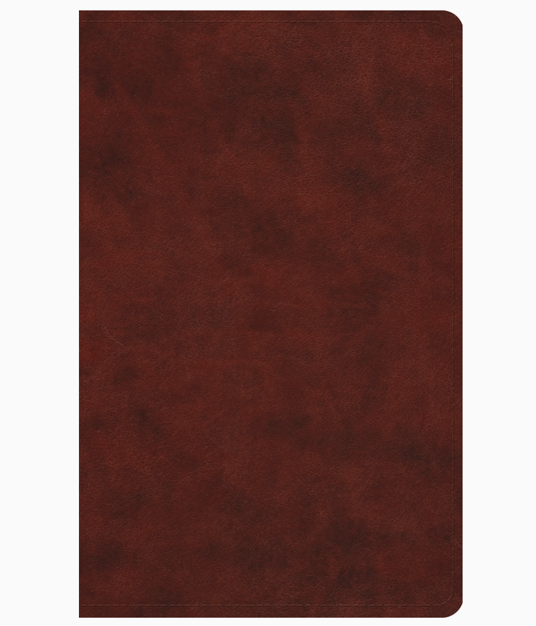 Thinline Bible LARGE Print (ESV)
