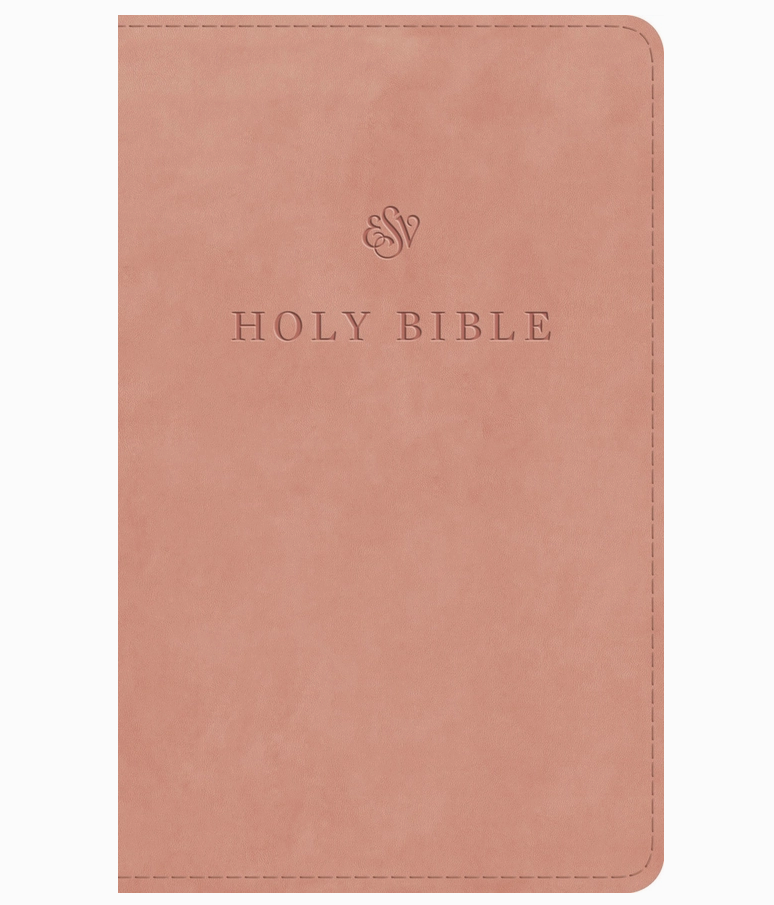 Blush Bible, LARGE print (ESV)